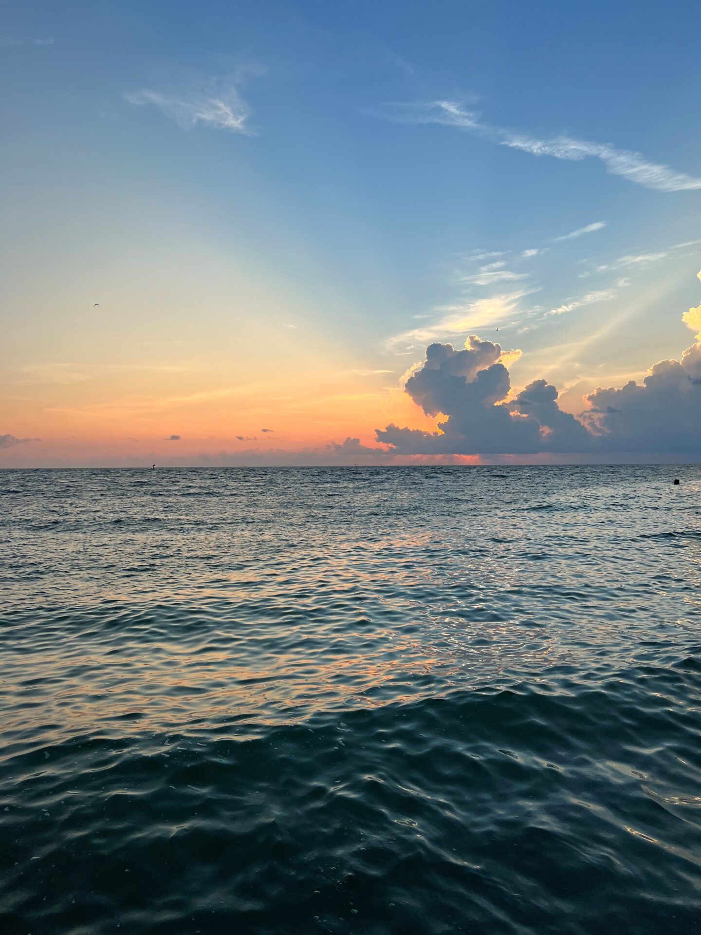 image of the ocean representing climate change activism and the harm climate change can cause